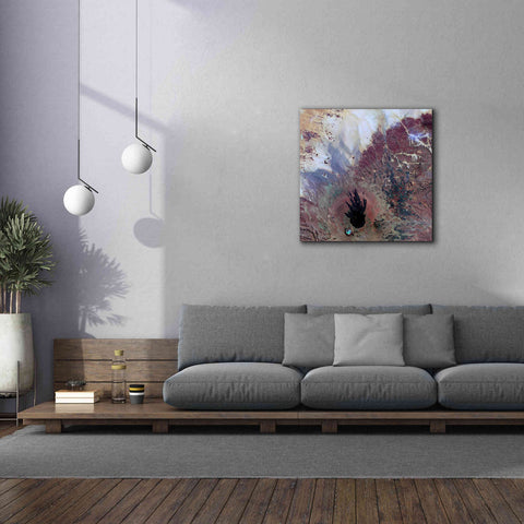 Image of 'Earth as Art: The Watcher,' Canvas Wall Art,37 x 37