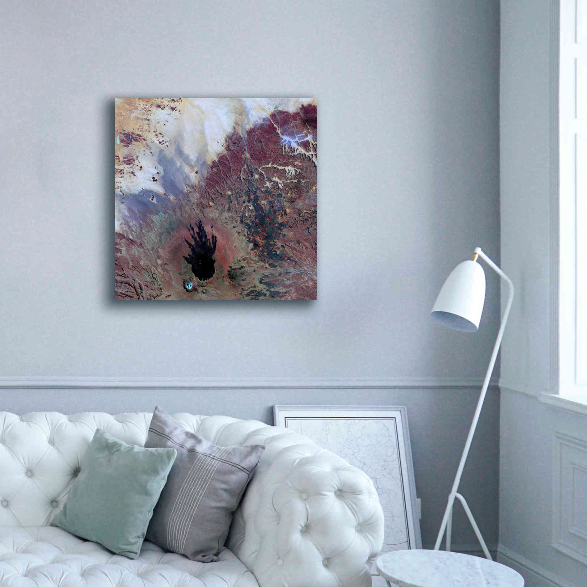 'Earth as Art: The Watcher,' Canvas Wall Art,37 x 37