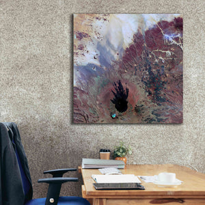 'Earth as Art: The Watcher,' Canvas Wall Art,37 x 37
