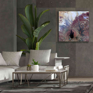 'Earth as Art: The Watcher,' Canvas Wall Art,37 x 37