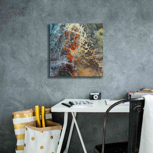 'Earth as Art: Unfriendly Landscape,' Canvas Wall Art,18 x 18