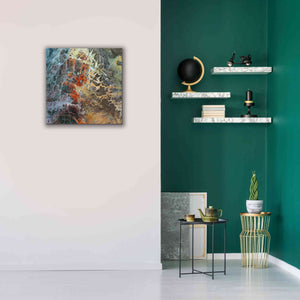 'Earth as Art: Unfriendly Landscape,' Canvas Wall Art,26 x 26