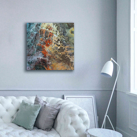 Image of 'Earth as Art: Unfriendly Landscape,' Canvas Wall Art,37 x 37