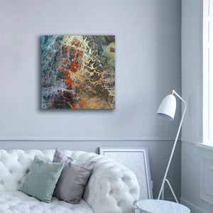 'Earth as Art: Unfriendly Landscape,' Canvas Wall Art,37 x 37