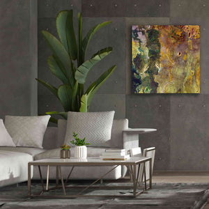 'Earth as Art: Weird Watercolor,' Canvas Wall Art,37 x 37