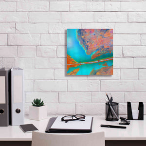 'Earth as Art: A Study in Algae,' Canvas Wall Art,12 x 12
