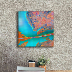 'Earth as Art: A Study in Algae,' Canvas Wall Art,18 x 18