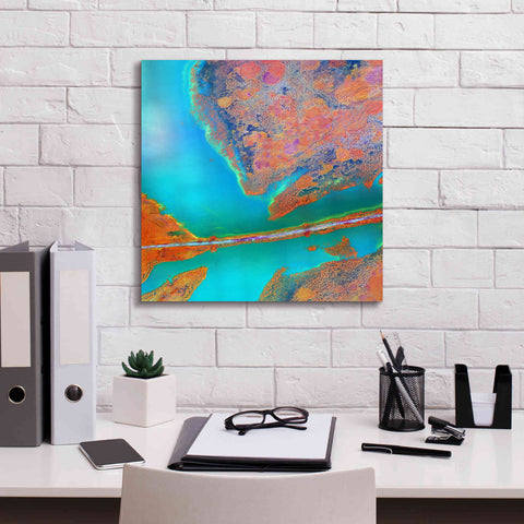 Image of 'Earth as Art: A Study in Algae,' Canvas Wall Art,18 x 18