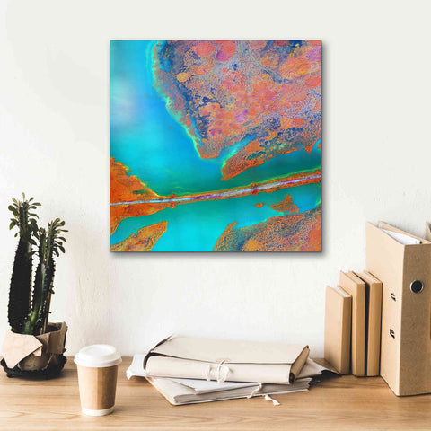 Image of 'Earth as Art: A Study in Algae,' Canvas Wall Art,18 x 18