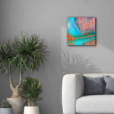 Image of 'Earth as Art: A Study in Algae,' Canvas Wall Art,18 x 18
