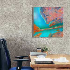'Earth as Art: A Study in Algae,' Canvas Wall Art,26 x 26