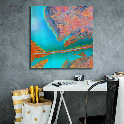 Image of 'Earth as Art: A Study in Algae,' Canvas Wall Art,26 x 26