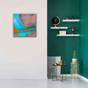 'Earth as Art: A Study in Algae,' Canvas Wall Art,26 x 26