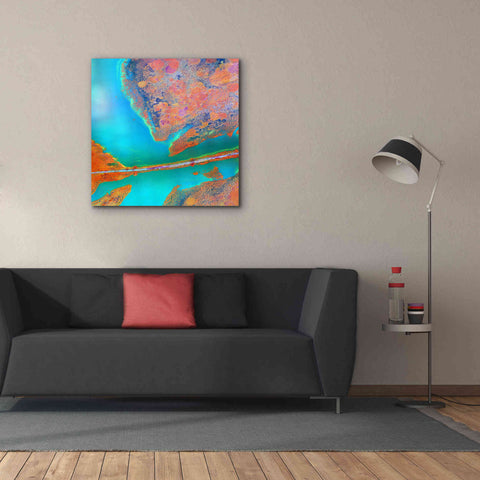 Image of 'Earth as Art: A Study in Algae,' Canvas Wall Art,37 x 37