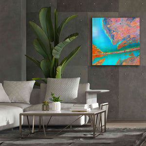 'Earth as Art: A Study in Algae,' Canvas Wall Art,37 x 37