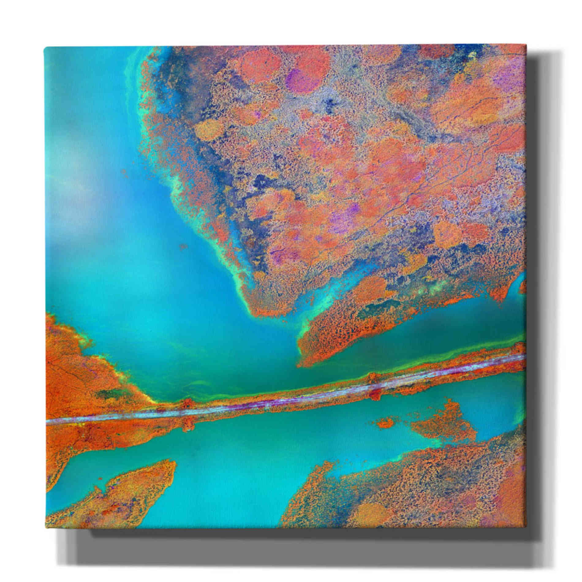 'Earth as Art: A Study in Algae,' Canvas Wall Art,12x12x1.1x0,18x18x1.1x0,26x26x1.74x0,37x37x1.74x0