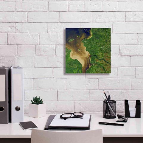 Image of 'Earth as Art: Facing the Tide,' Canvas Wall Art,12 x 12