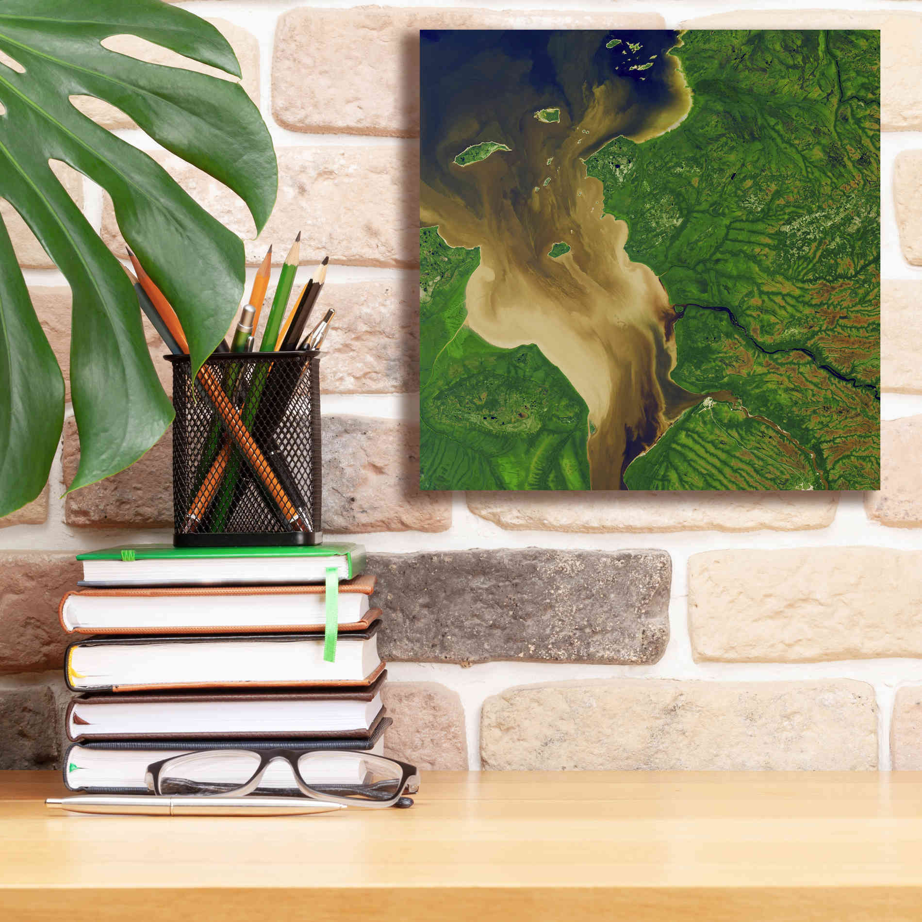 'Earth as Art: Facing the Tide,' Canvas Wall Art,12 x 12