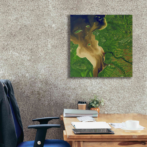 Image of 'Earth as Art: Facing the Tide,' Canvas Wall Art,26 x 26