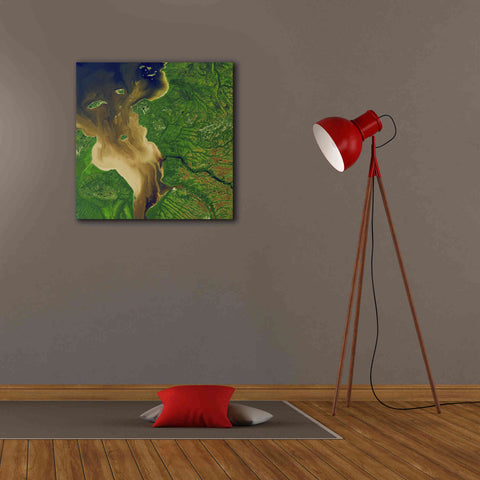 Image of 'Earth as Art: Facing the Tide,' Canvas Wall Art,26 x 26