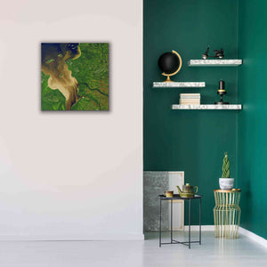 'Earth as Art: Facing the Tide,' Canvas Wall Art,26 x 26