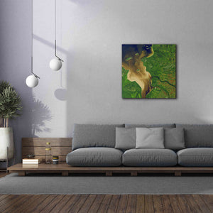 'Earth as Art: Facing the Tide,' Canvas Wall Art,37 x 37