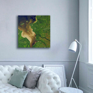 'Earth as Art: Facing the Tide,' Canvas Wall Art,37 x 37