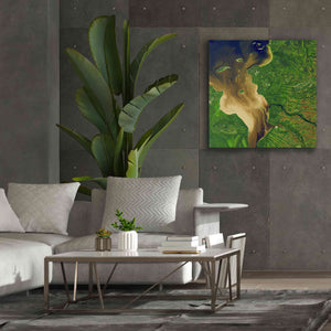 'Earth as Art: Facing the Tide,' Canvas Wall Art,37 x 37
