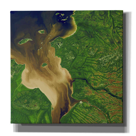 Image of 'Earth as Art: Facing the Tide,' Canvas Wall Art,12x12x1.1x0,18x18x1.1x0,26x26x1.74x0,37x37x1.74x0