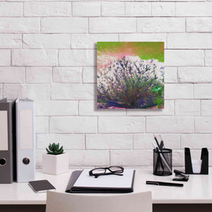 'Earth as Art: Fanned Out,' Canvas Wall Art,12 x 12