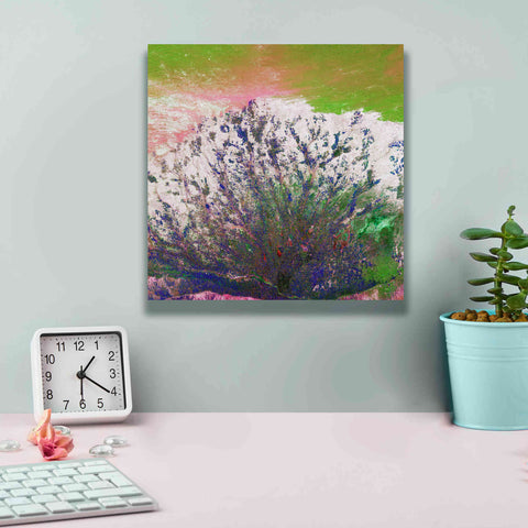 Image of 'Earth as Art: Fanned Out,' Canvas Wall Art,12 x 12