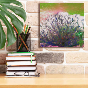 'Earth as Art: Fanned Out,' Canvas Wall Art,12 x 12