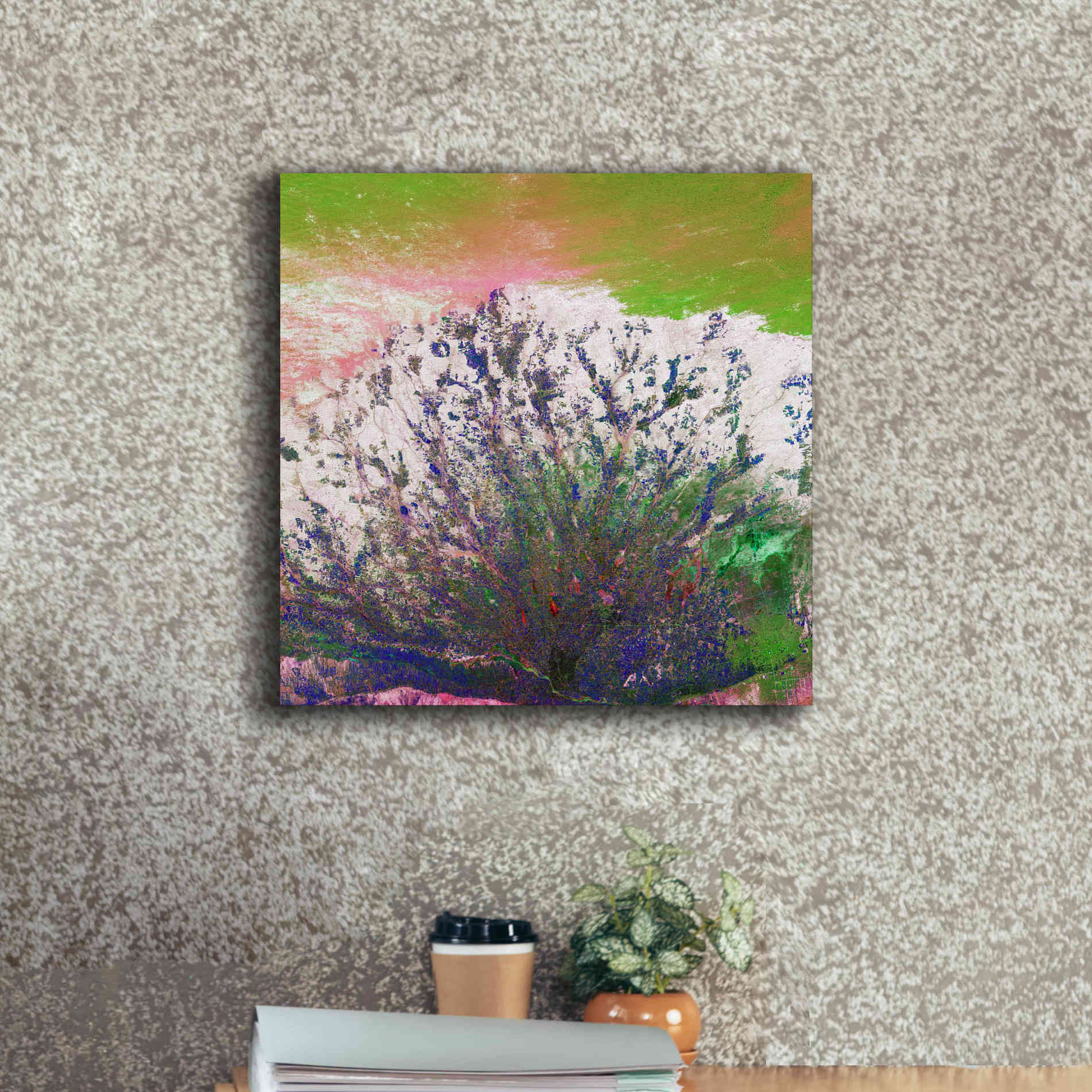 'Earth as Art: Fanned Out,' Canvas Wall Art,18 x 18