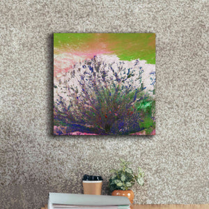 'Earth as Art: Fanned Out,' Canvas Wall Art,18 x 18
