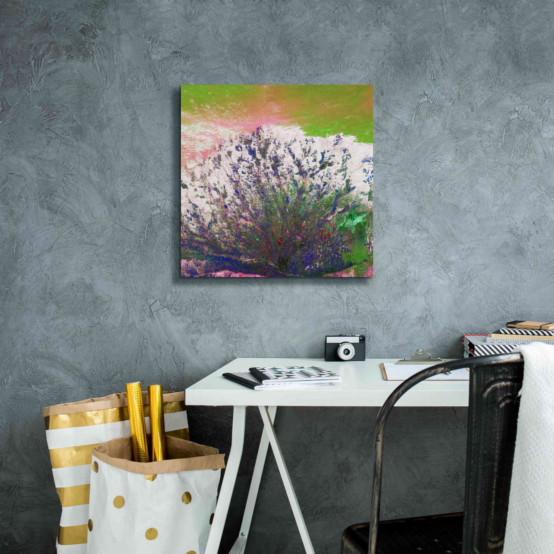 'Earth as Art: Fanned Out,' Canvas Wall Art,18 x 18