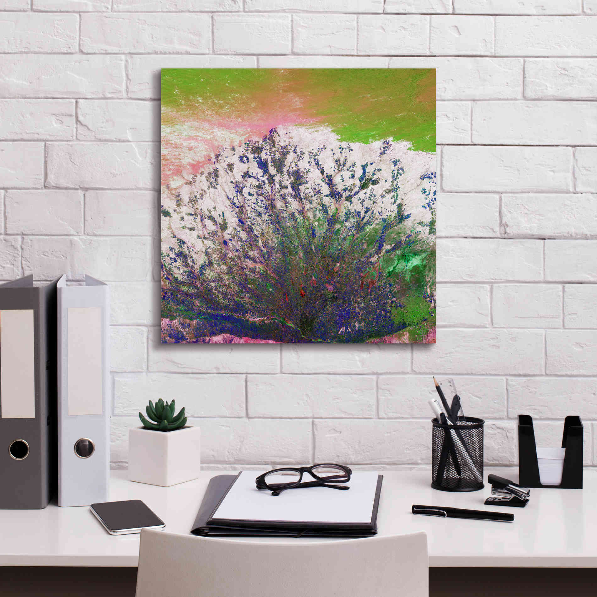 'Earth as Art: Fanned Out,' Canvas Wall Art,18 x 18
