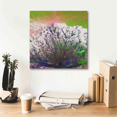 Image of 'Earth as Art: Fanned Out,' Canvas Wall Art,18 x 18