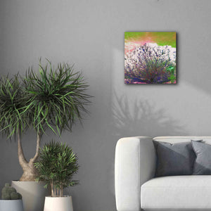 'Earth as Art: Fanned Out,' Canvas Wall Art,18 x 18