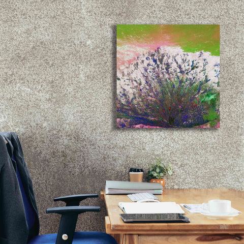 Image of 'Earth as Art: Fanned Out,' Canvas Wall Art,26 x 26