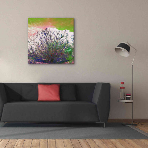 Image of 'Earth as Art: Fanned Out,' Canvas Wall Art,37 x 37
