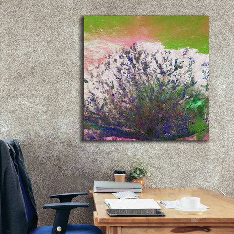 Image of 'Earth as Art: Fanned Out,' Canvas Wall Art,37 x 37