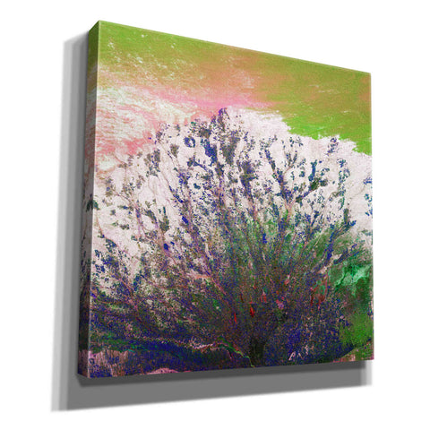 Image of 'Earth as Art: Fanned Out,' Canvas Wall Art,12x12x1.1x0,18x18x1.1x0,26x26x1.74x0,37x37x1.74x0