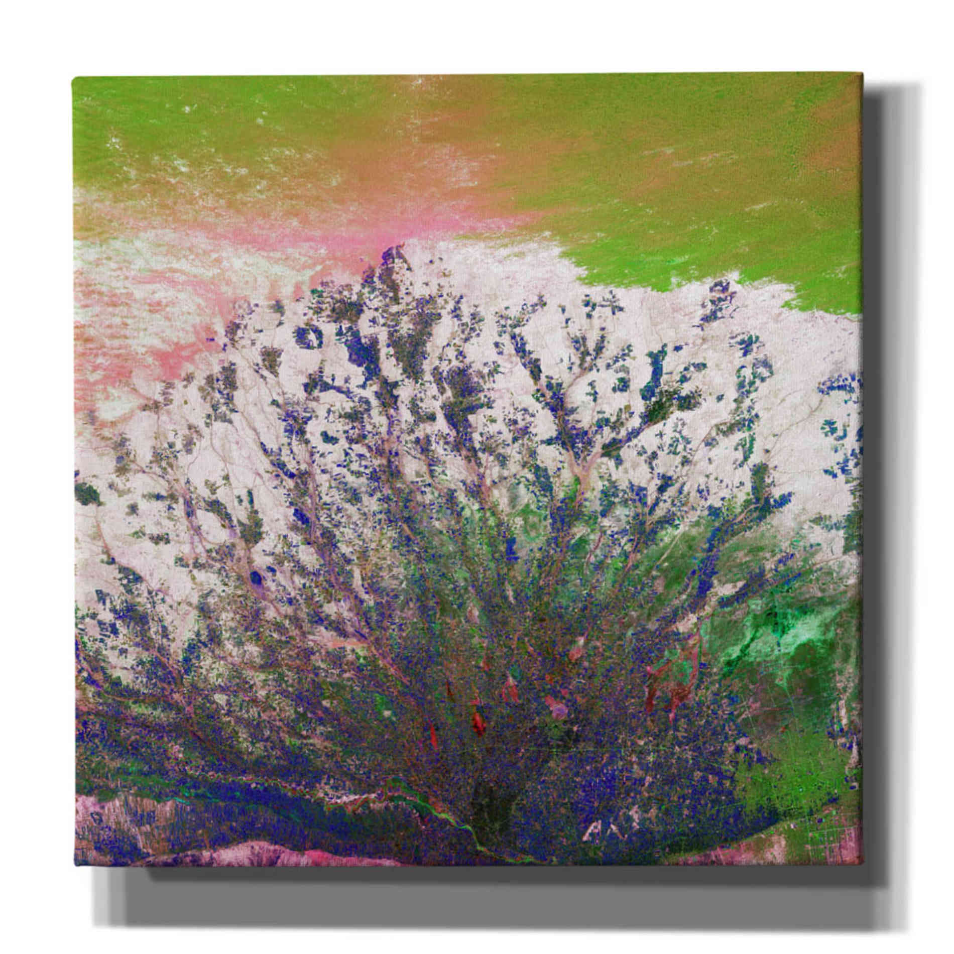 'Earth as Art: Fanned Out,' Canvas Wall Art,12x12x1.1x0,18x18x1.1x0,26x26x1.74x0,37x37x1.74x0