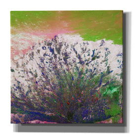 'Earth as Art: Fanned Out,' Canvas Wall Art,12x12x1.1x0,18x18x1.1x0,26x26x1.74x0,37x37x1.74x0