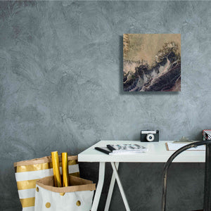 'Earth as Art: Irritated,' Canvas Wall Art,12 x 12