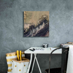 'Earth as Art: Irritated,' Canvas Wall Art,18 x 18