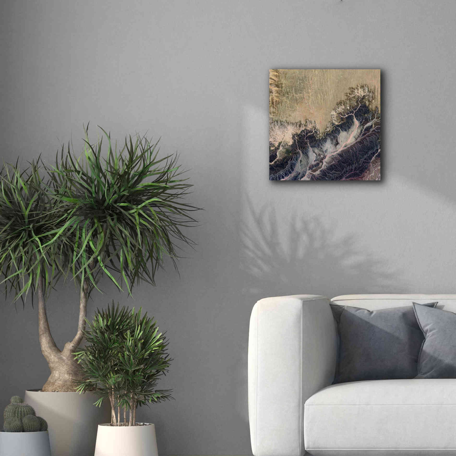 'Earth as Art: Irritated,' Canvas Wall Art,18 x 18