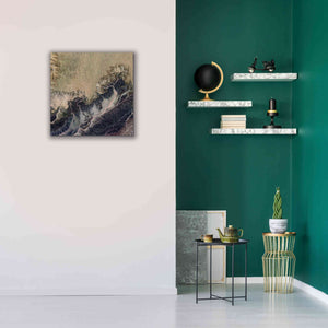 'Earth as Art: Irritated,' Canvas Wall Art,26 x 26