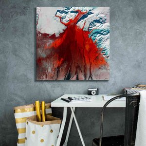 'Earth as Art: Outburst,' Canvas Wall Art,26 x 26