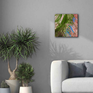 'Earth as Art: Painting the Desert,' Canvas Wall Art,18 x 18